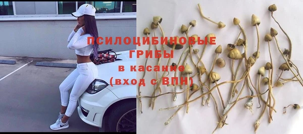 ALPHA PVP Богородицк