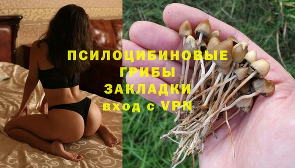 ALPHA PVP Богородицк